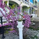 диамант Diamond