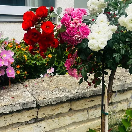 диамант Diamond 3*