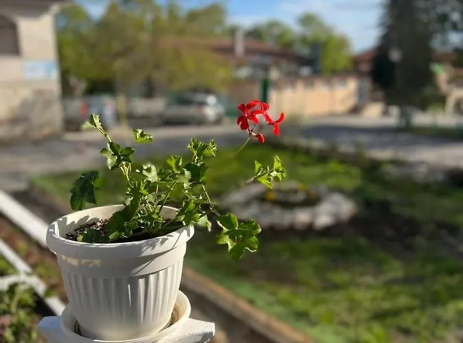 диамант Diamond Hotel 3*