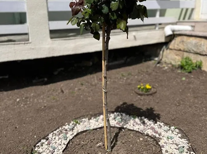 диамант Diamond Hotel